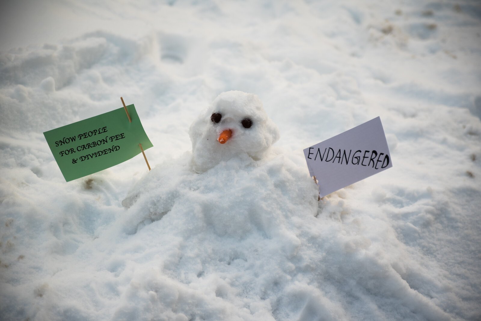 Activists used signs to convey various messages on the urgency of climate action to the public.