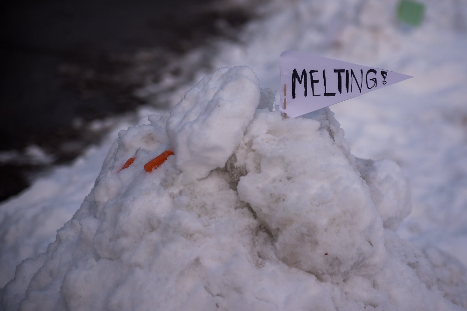 Activists used signs to convey various messages on the urgency of climate action to the public.