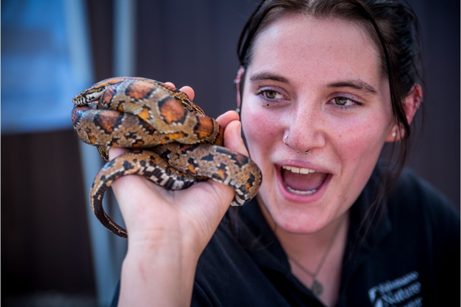 The Kalamazoo Nature Center turned out with reptiles at At the Edison Neighborhood Celebration of National Night Out 2022. Photo by Fran Dwight.