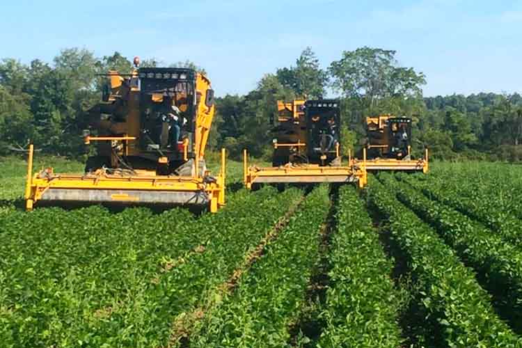 Pero Family Farms is growing in southwest michigan