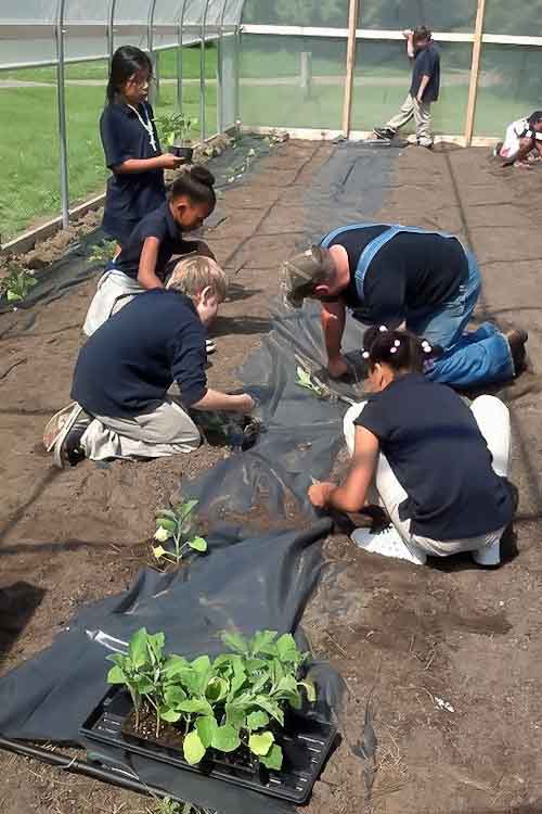 Students working in the garden