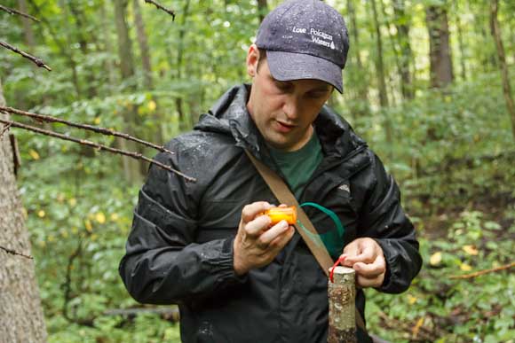 David Ferris holds both species of wasp eggs that are added to tree