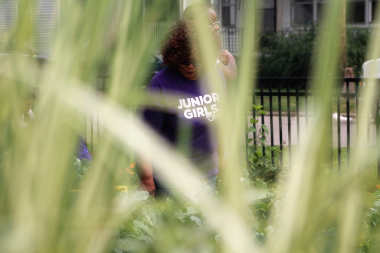 In the garden at Paterson and Princeton