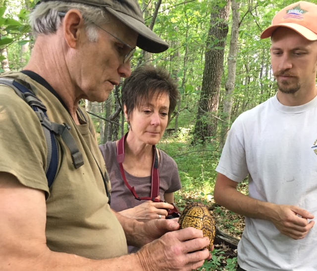 SWMLC employees Amelia Hansen and Mitch Lettow look over a young box turtle with John Rucker.