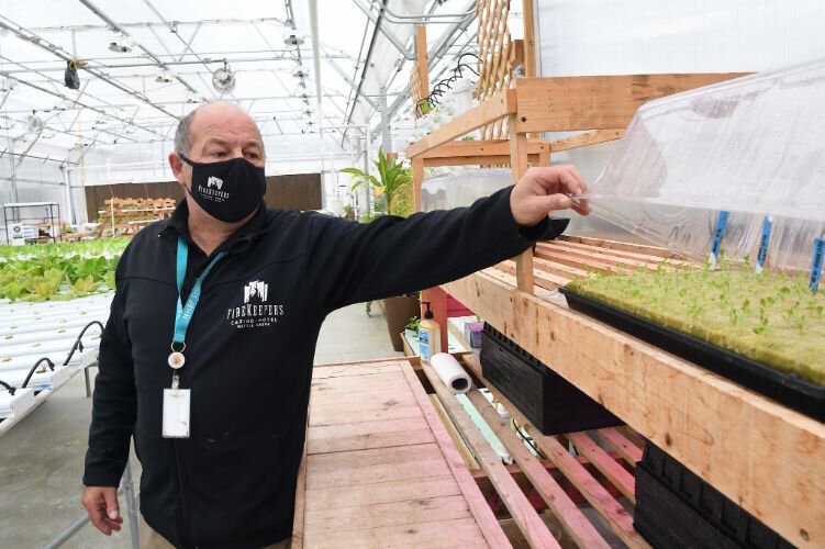 Steve Wherry, Greenhnouse House supervisor, points out some seedlings at the Pine Creek Indian Reservation.