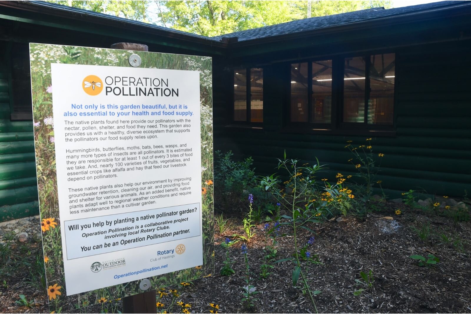 A pollination area outside one of the main buildings at Clear Lake Camp