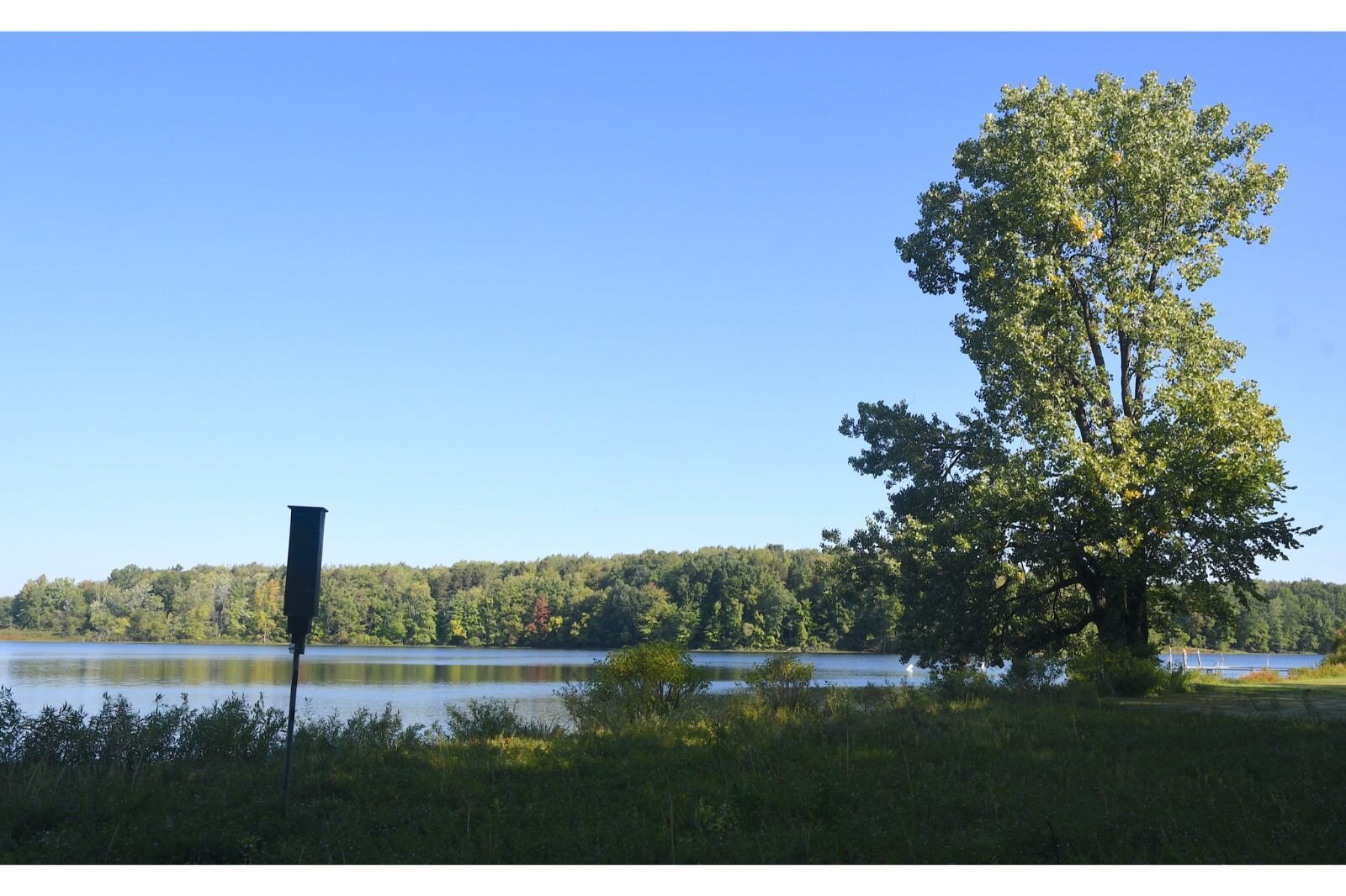 A bat house sits near the shore of Clear Lake Camp.