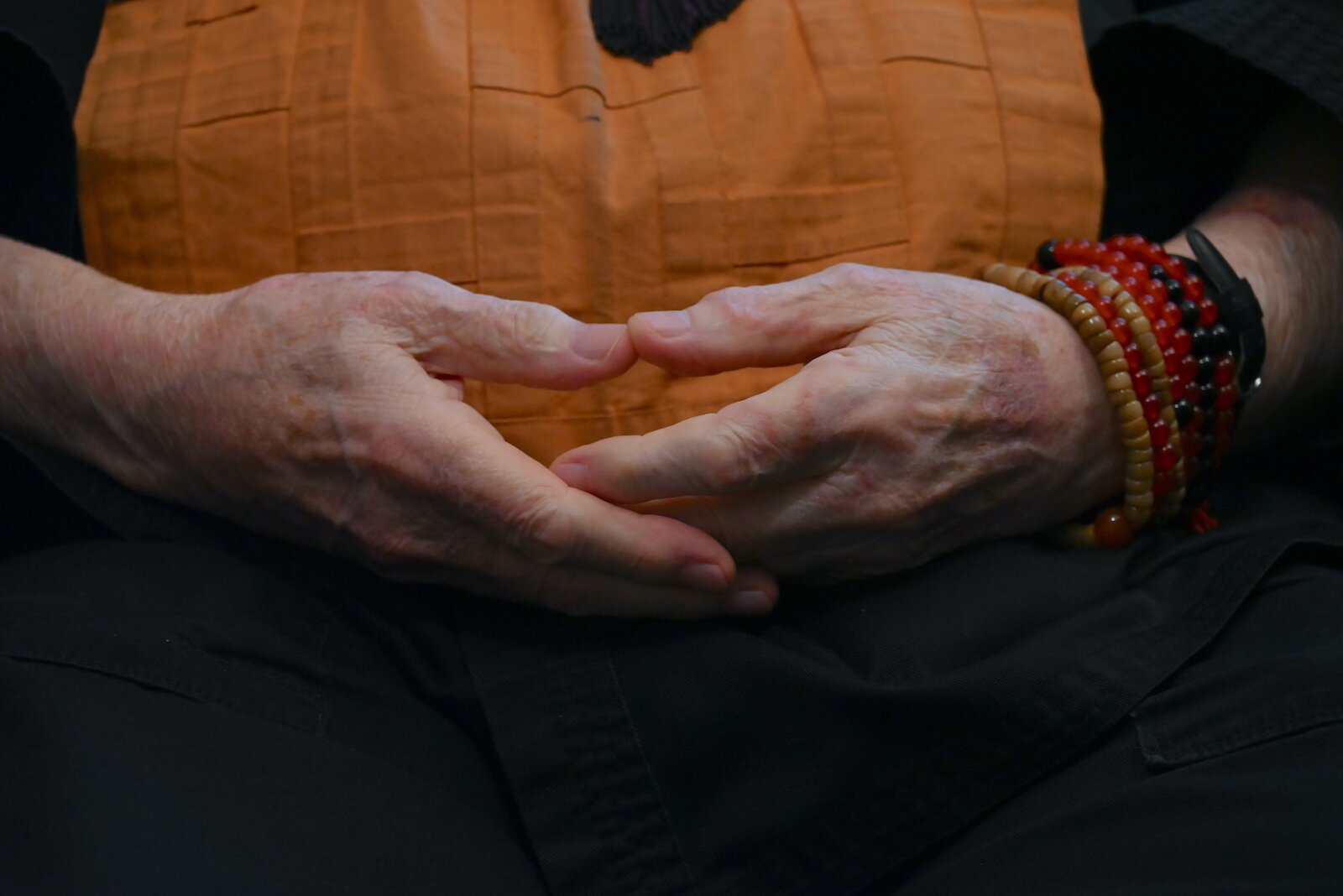 Sokuzan sits with folded hands.