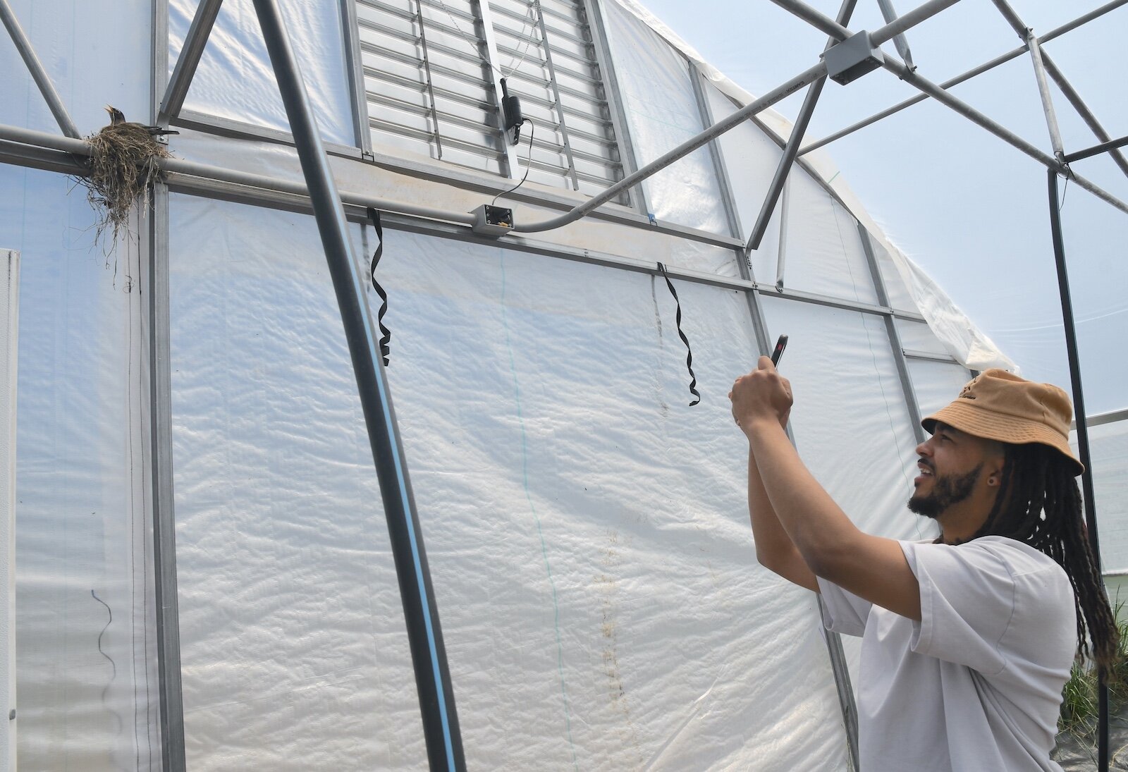 Devon Wilson takes a photo of a nesting robin inside one of the hoop houses at Sunlight Gardens.