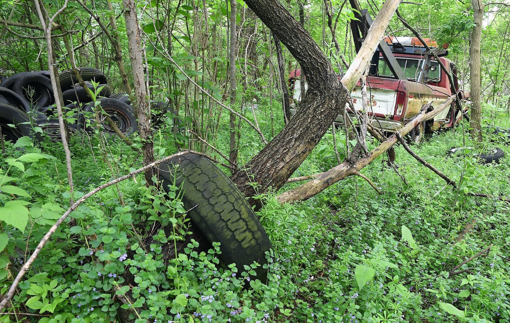 Tires and an abandoned pick-up truck on property located on West Hamblin Avenue, just west of Butler Street, in Battle Creek