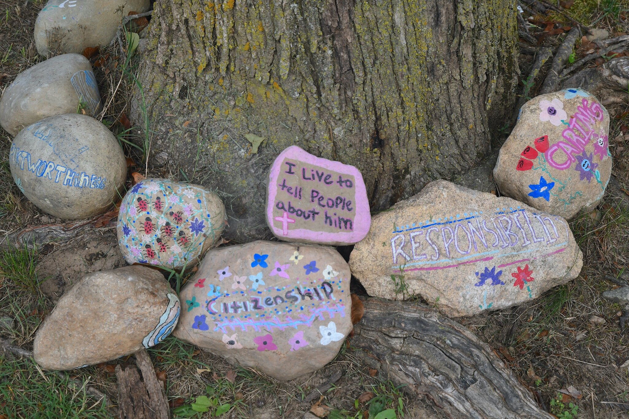 Painted stones ring a tree in front of the Calhoun County Youth Center.