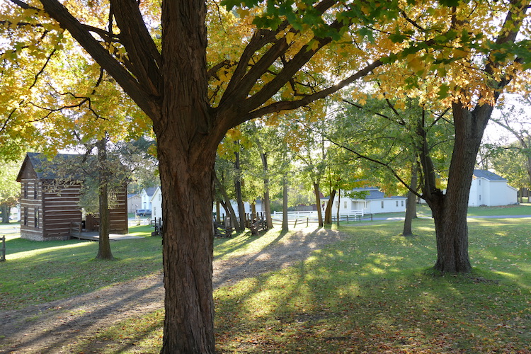 Fall sunlight shines on the Adventist Village.