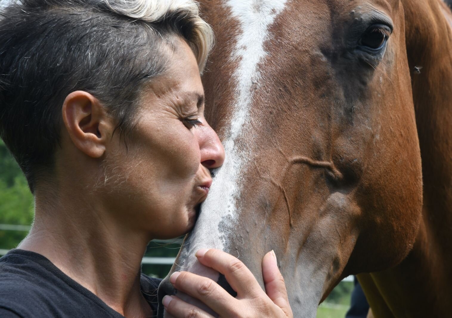 Nadin Malcom kisses Digger, one of three horses the Malcoms own and which are not up for adoption.