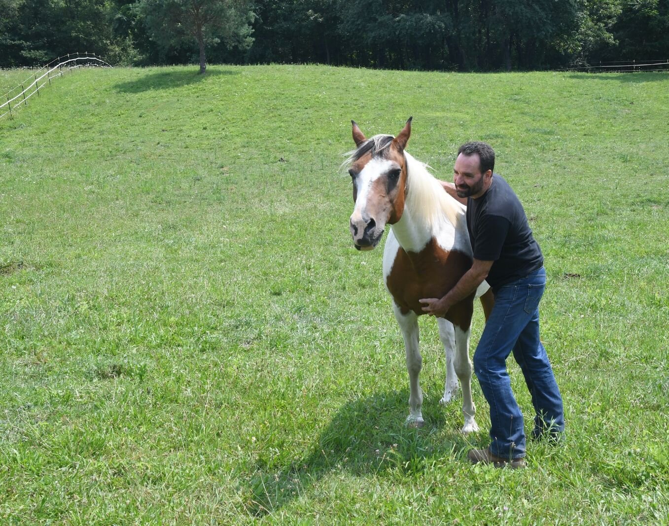 Corky Malcom and Diva Bella, Digger and Diva, the horses owned by the Malcoms are not available for adoption. 