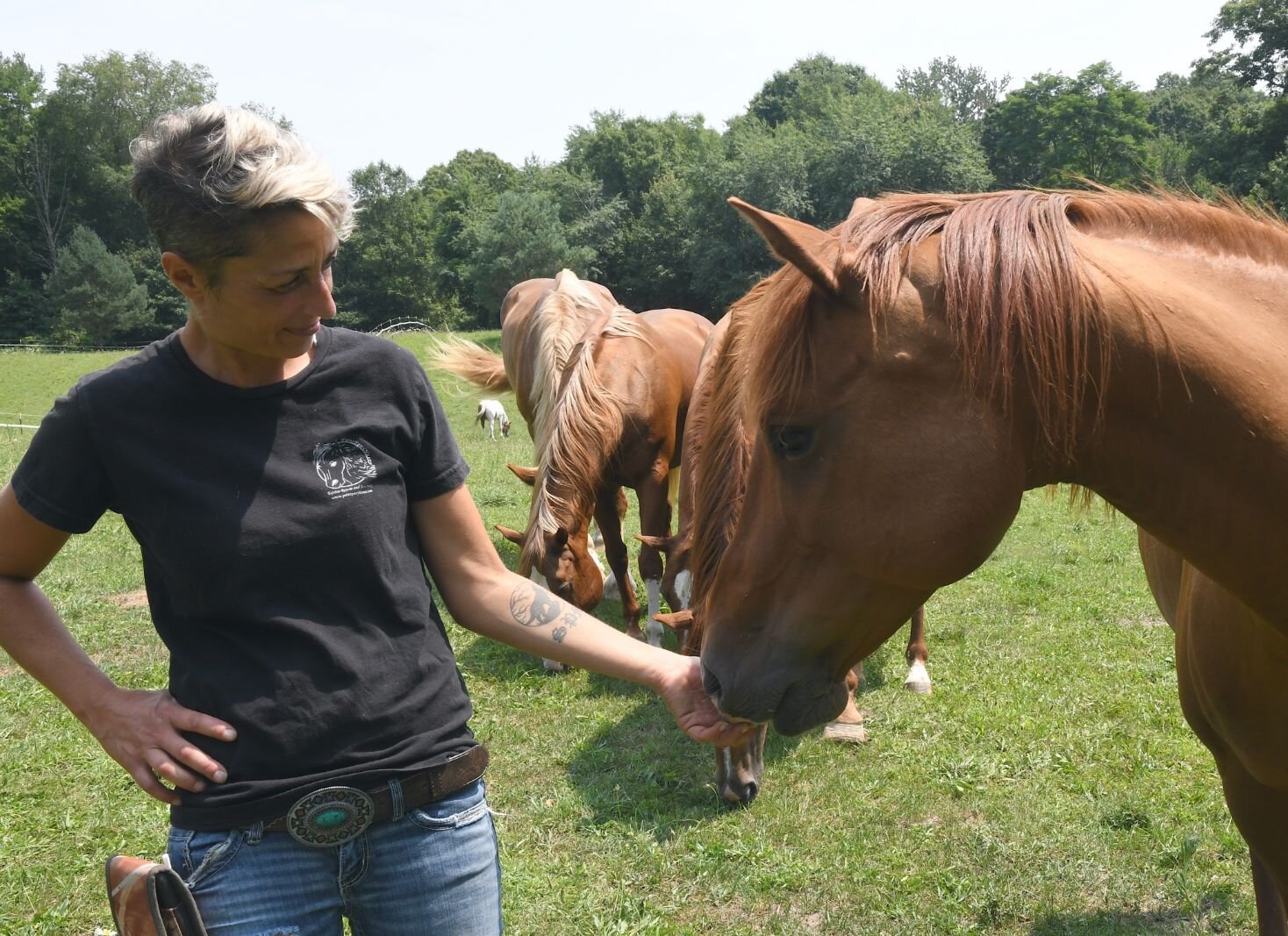 Nadin Malcom gives one of the horses her attention.