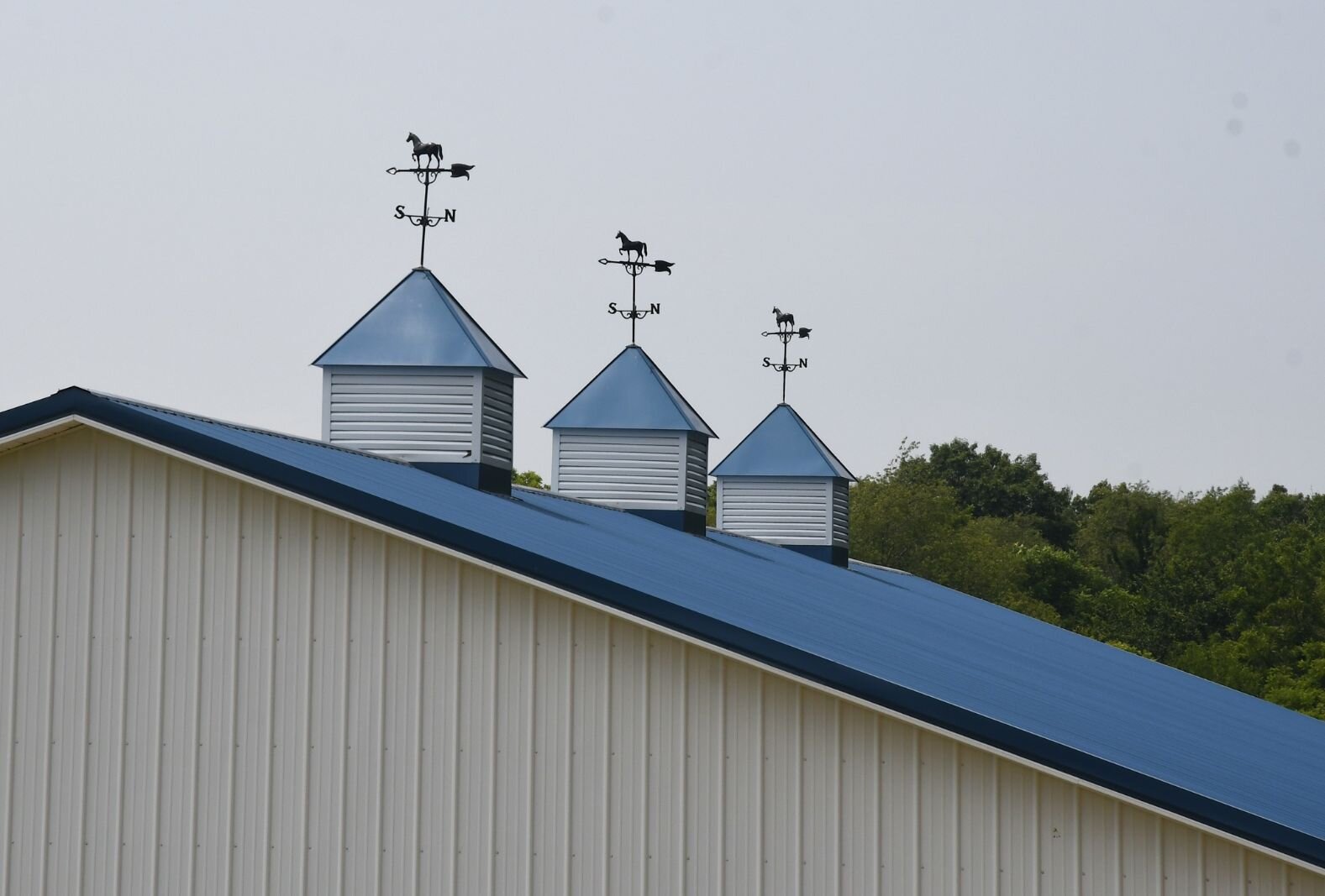 On top of the show barn at Paint Pony Haven.