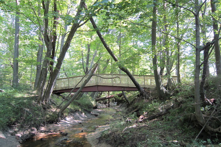 A scenic bridge in the Pilgrim Haven Natural Area.