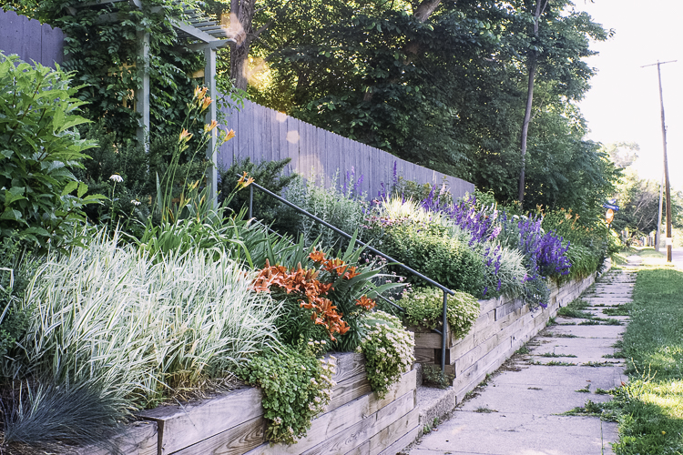 Tomme Maile and Dale Abbott have spent a lot of time beautifying their “little corner,” and then spreading their gardening expertise out into the Eastside.