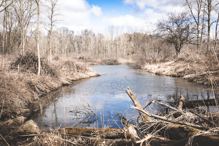 With its wetlands, march, streams and ponds, there are plenty of views at Bow in the Clouds