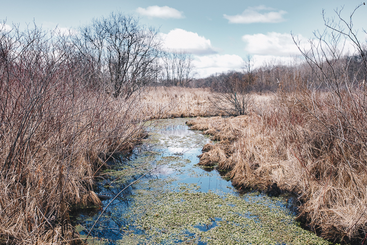 The streams at Bow in the Clouds run under Quiet Bridge and Babbling Brook Bridge.