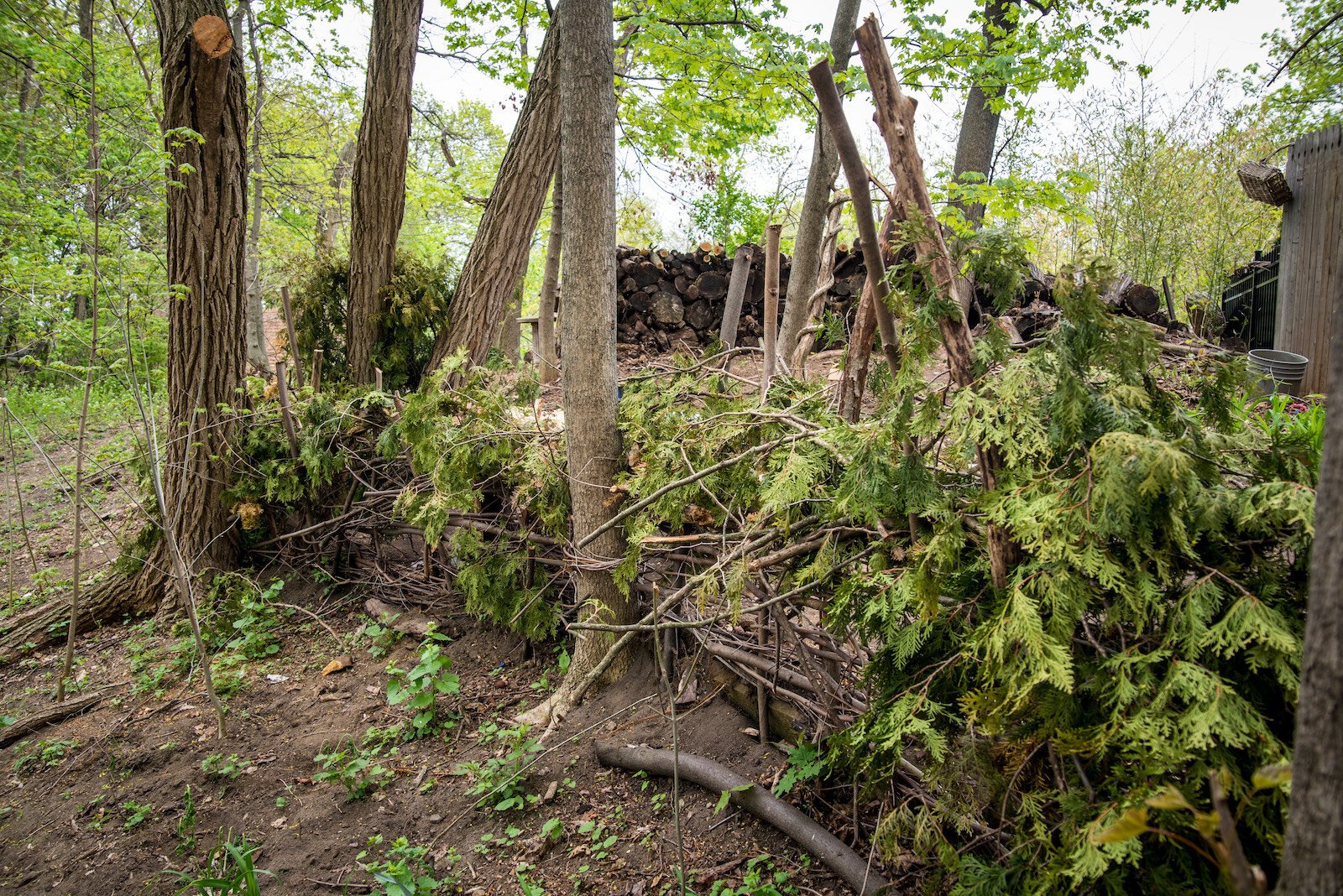 The kids’ new play area, Moss Rock.