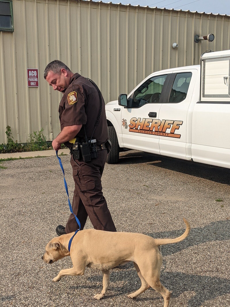 Deputy Michael Vanderbilt walks a dog back into a shelter that houses stray dogs and cats who are picked up by city and county Animal Control officials.
