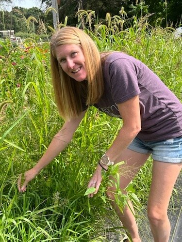 Rebekah Laupp shows an example of Explosion Grass growing in her family's u-pick gardens.