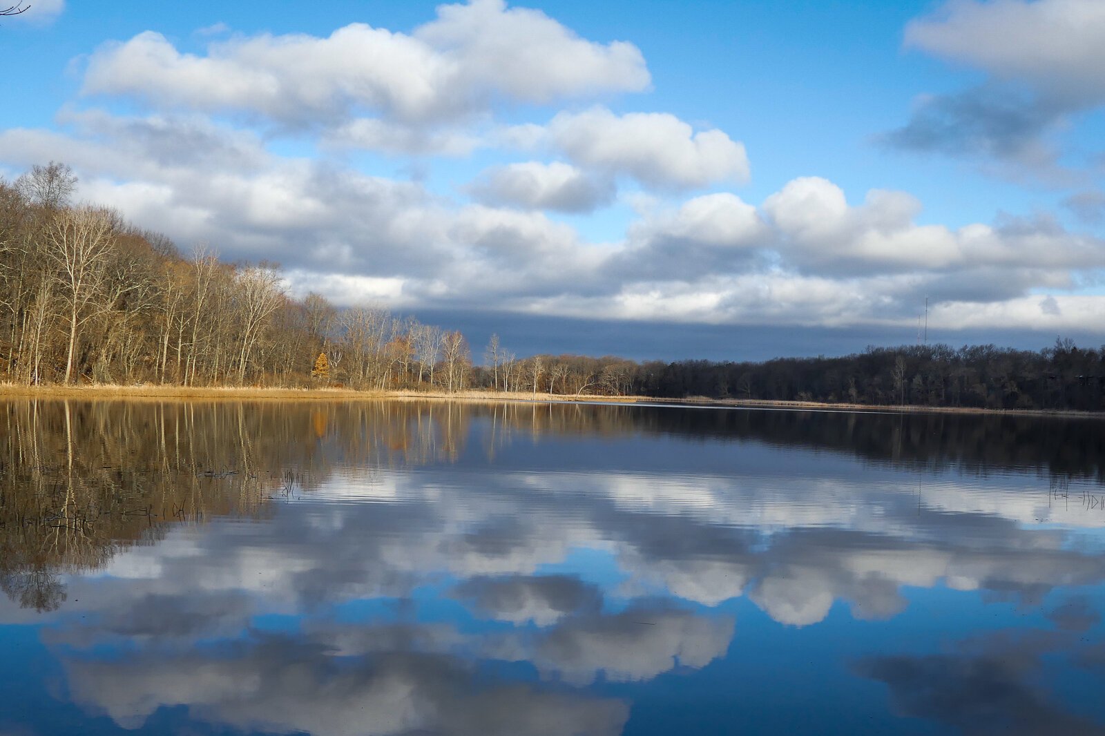 Asylum Lake is a perfect example of an urban nature preserve that provides a lot of great biodiversity benefit.