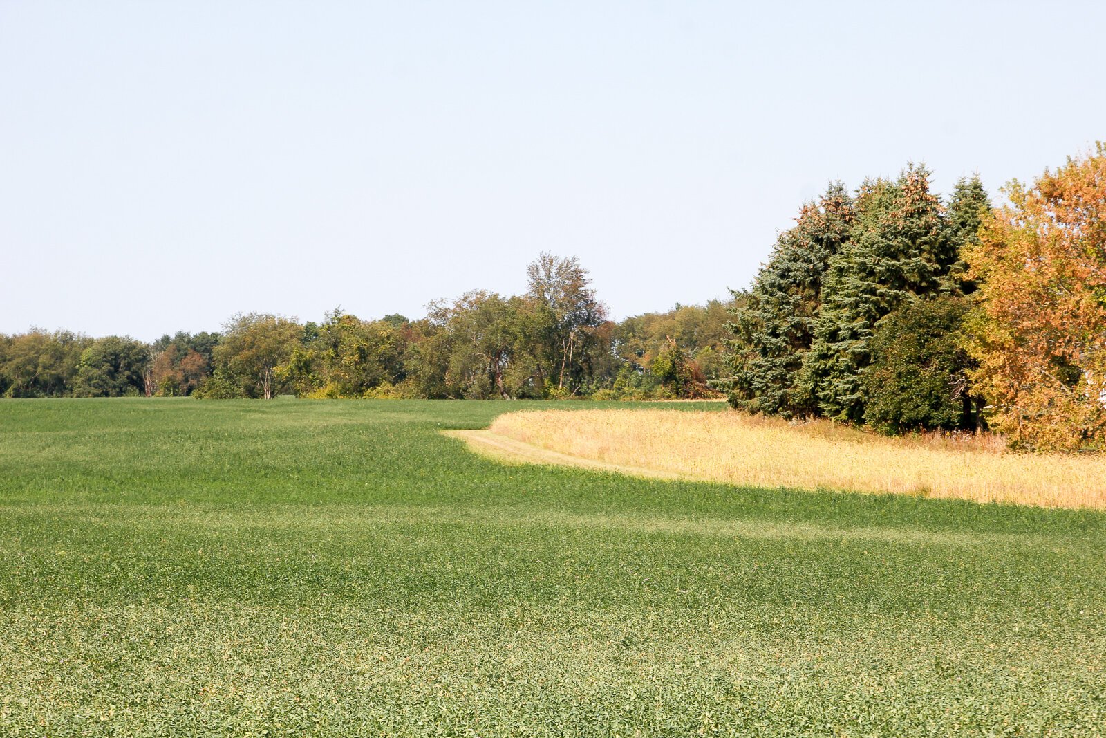 Late summer at Gull Prairie Preserve in Richland.