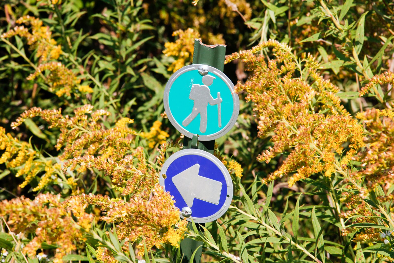 Trails at Gull Prairie Preserve in Richland.