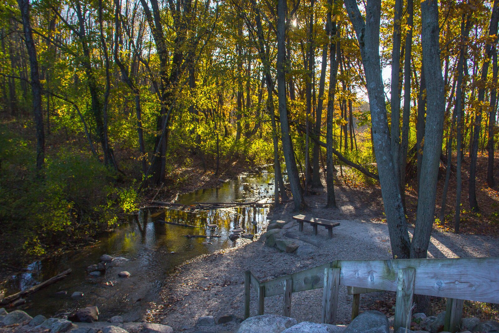 Asylum Lake is a perfect example of an urban nature preserve that provides a lot of great biodiversity benefit.