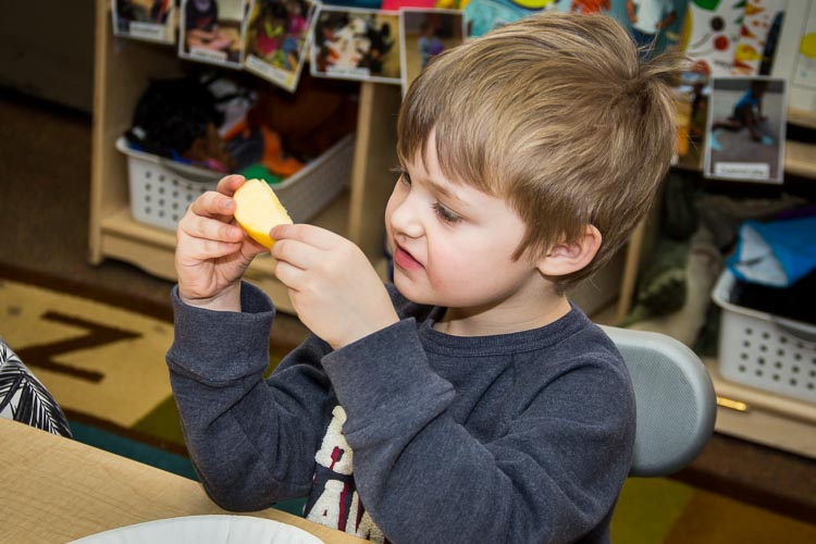 A youngster takes a good look at his apple slice. Photo by Susan Andress