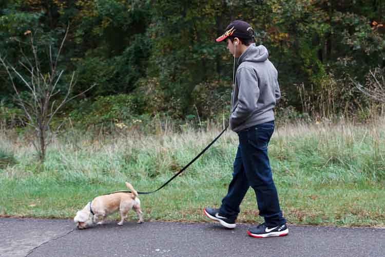 Damian Diamante walks dogs for profit. Photo by Susan Andress