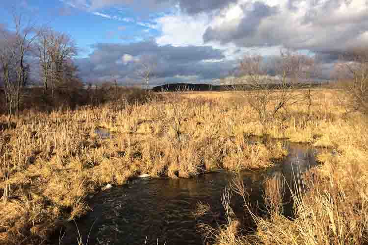 Part of the Battle Creek Watershed