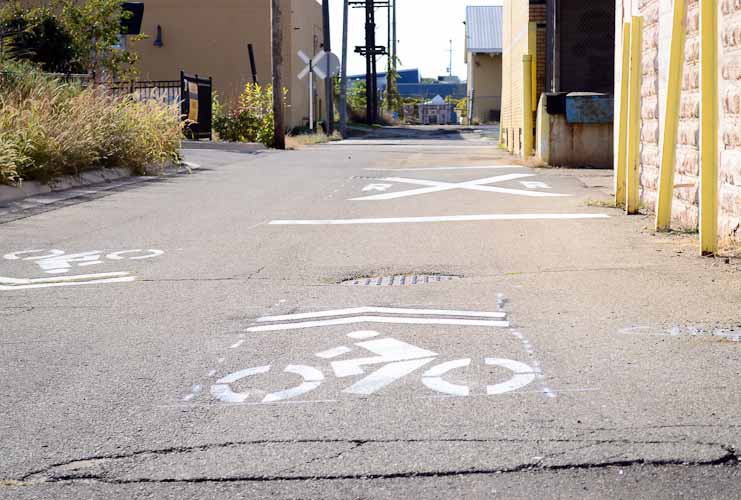 Sharrows make alleyways with little traffic like E. Harkins Ct. part of the KRVT connector route.