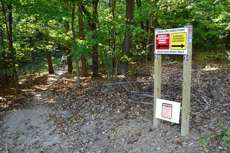 Maple Hill trail weaves through the heavily-wooded west side of Markin Glen Park.   