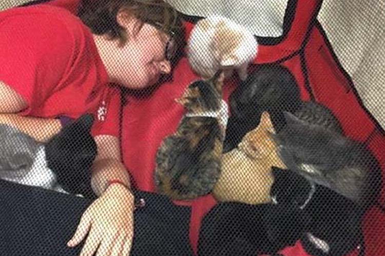 Abbey hangs out with the cats at a rescue event