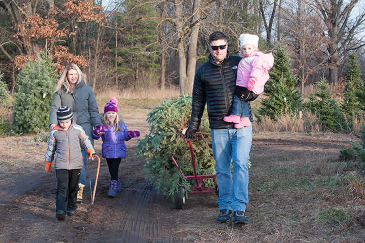 Making family memories by picking out a Christmas tree together. Photo by Dave Trumpie