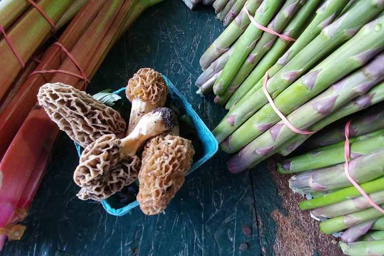 Asparagus and morels at the market