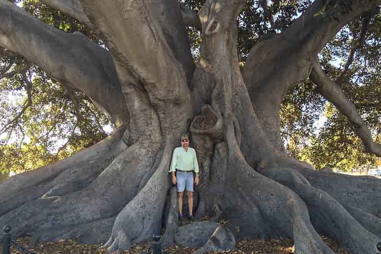 David Roberts and fig tree in California, fall of 2016.