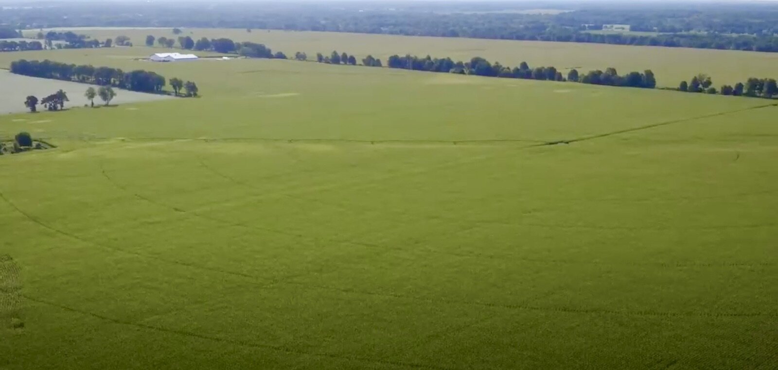 A view of the 1,800-acre megasite that is available for development near Marshall.