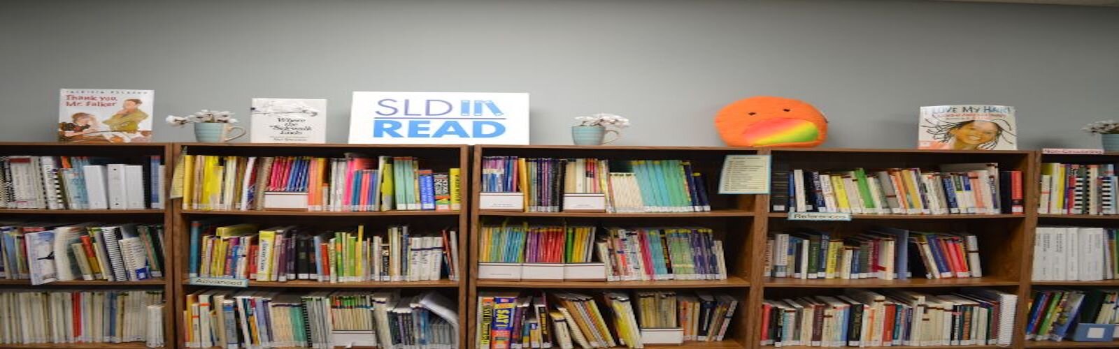 One of the bookshelves at the SLD Office for instruction and for lending