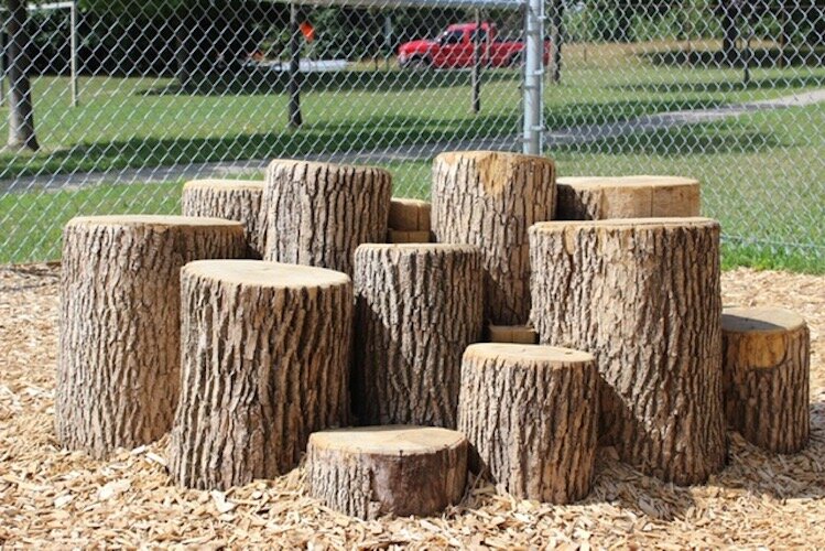 Instead of swings and slides children will be able to climg on stumps at the Children's Nature Playscape.