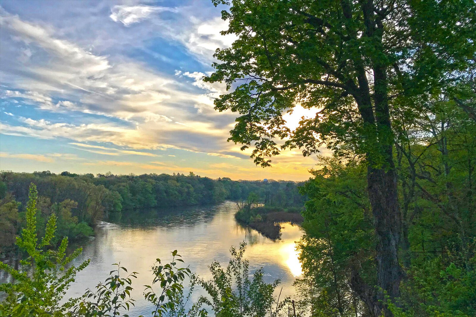 A summer sunset at the 140 acre Armintrout-Milbocker Nature Preserve, the latest piece of land preserved by the Southwest Michigan Land Conservancy.