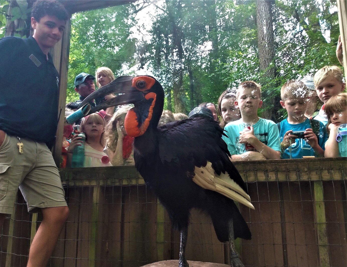 Young People meet the birds at Summer Day Camp at Binder Park Zoo.