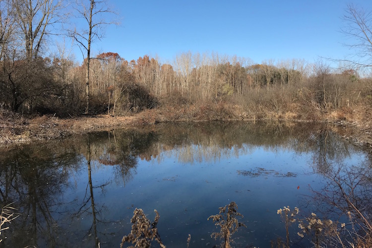 The Swan Pond peninsula at Bow in the Clouds is a visual reward for a short hike.