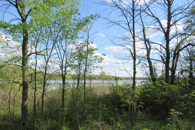 Fair Lake Preserve