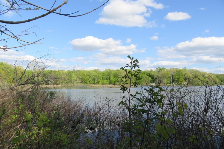 Fair Lake Preserve