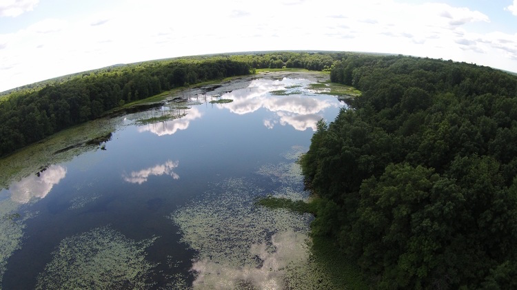 An aerial shot of the Portman Preserve