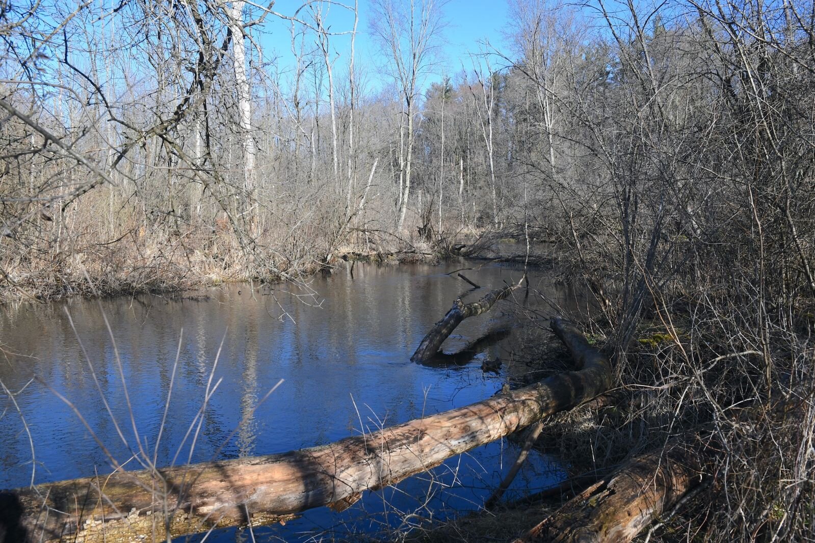 The North Country Trail crosses this creek in Kellogg Forest.